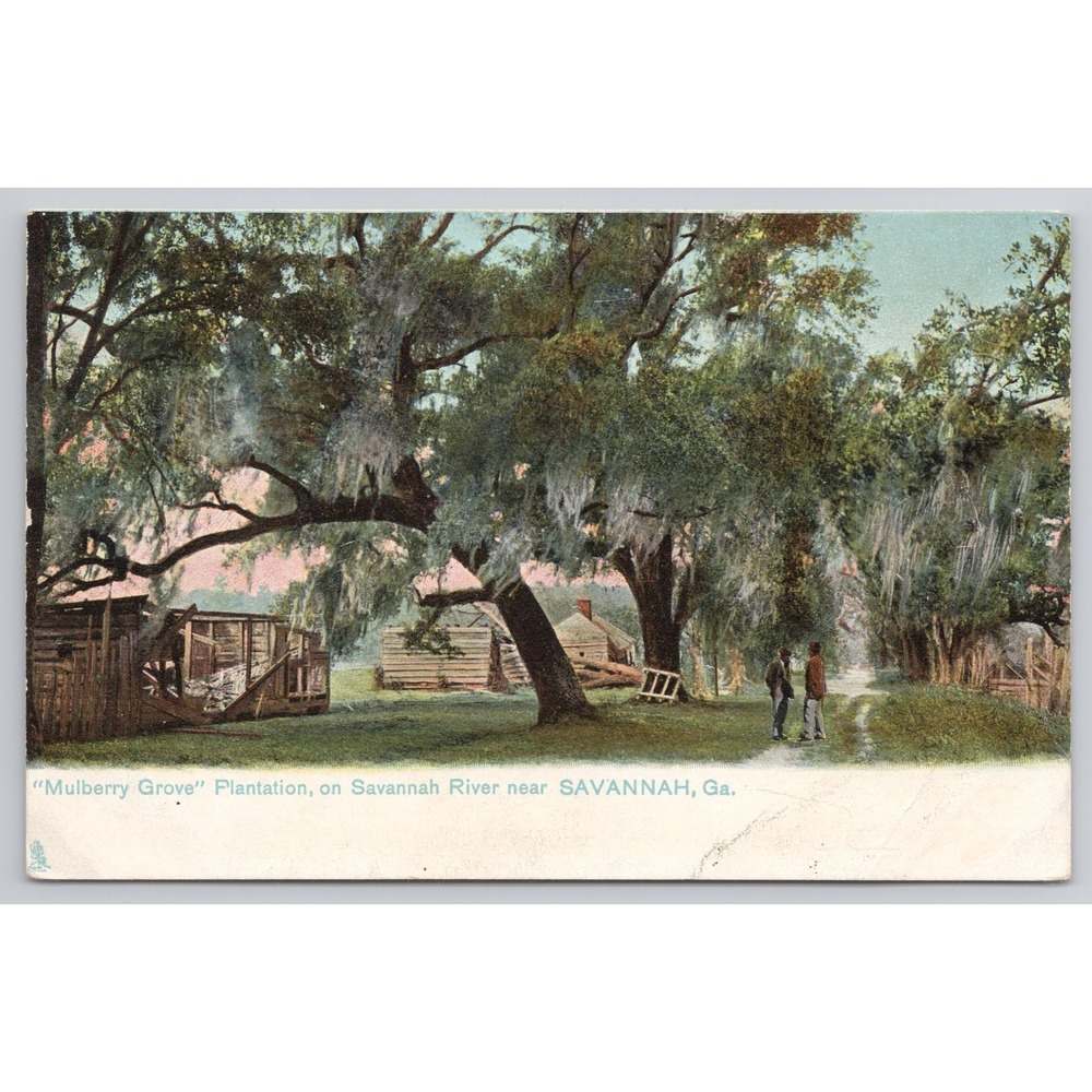 Mulberry Grove Plantation Savannah River‎ Savannah Georgia Vintage Tuck Postcard